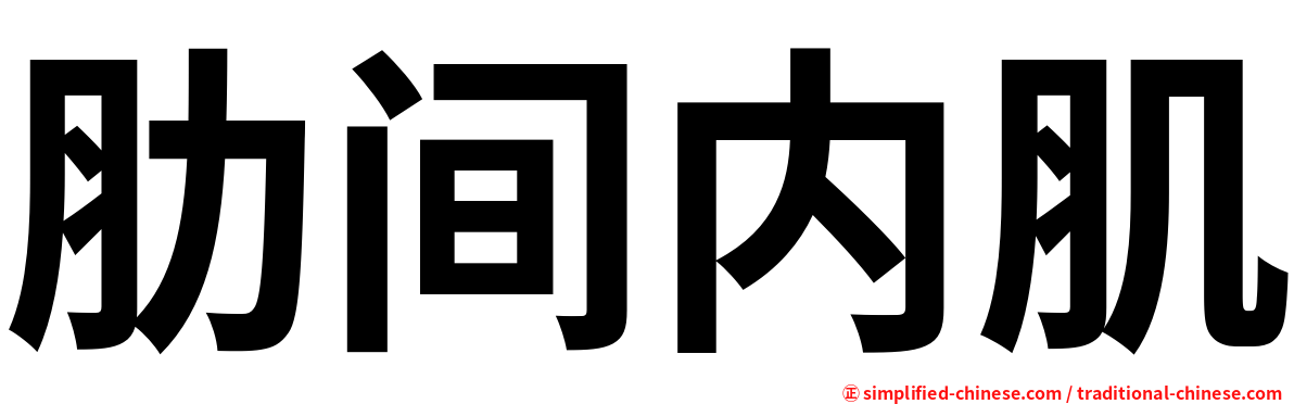 肋间内肌