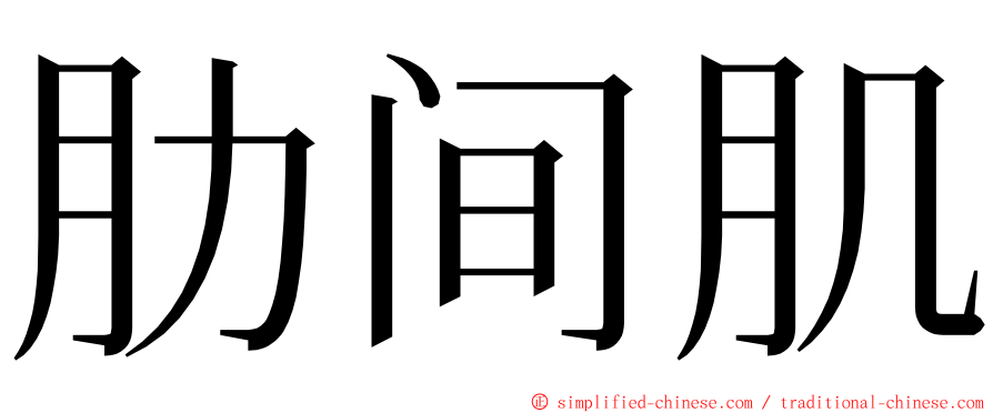 肋间肌 ming font