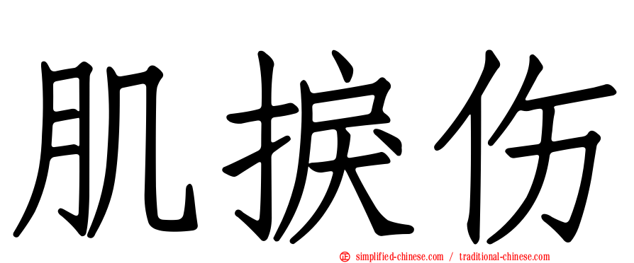 肌捩伤