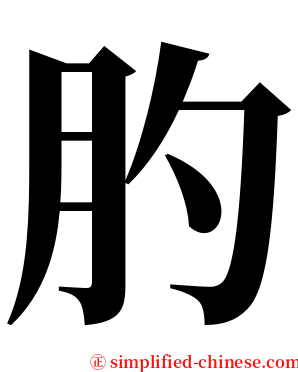 肑 serif font