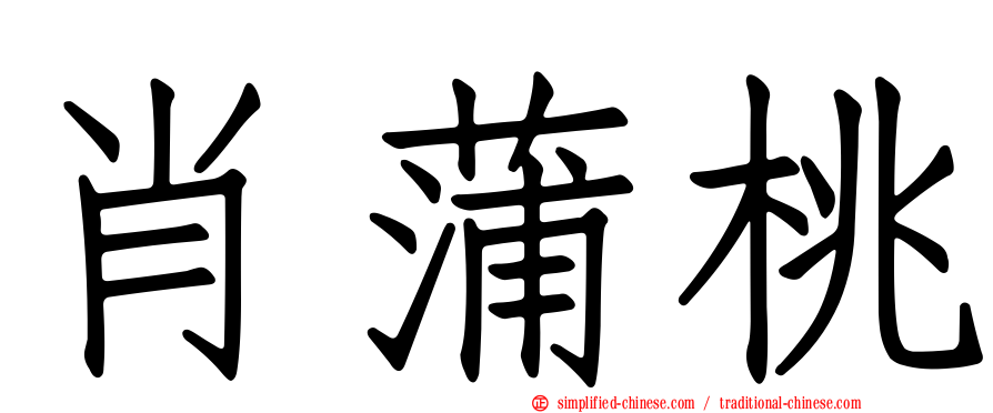 肖蒲桃