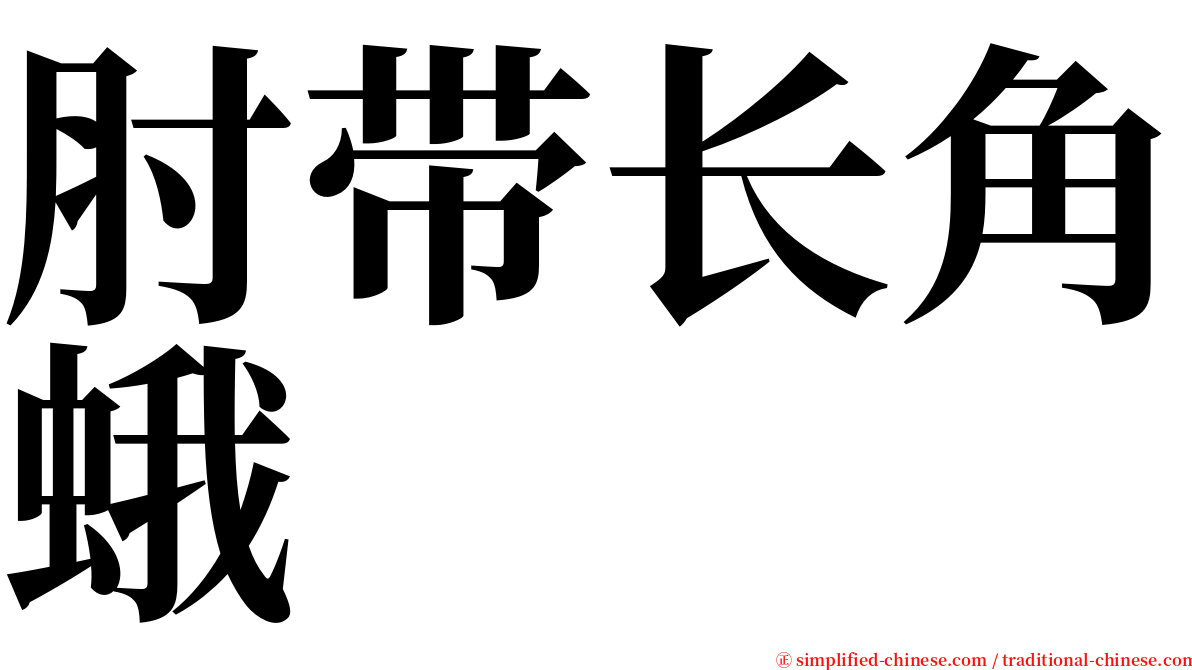 肘带长角蛾 serif font