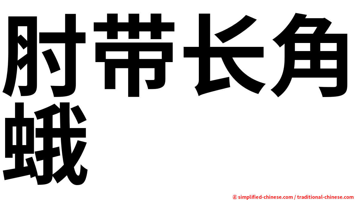 肘带长角蛾