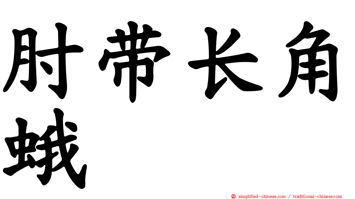 肘带长角蛾