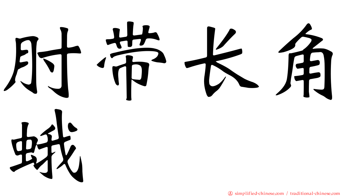 肘带长角蛾