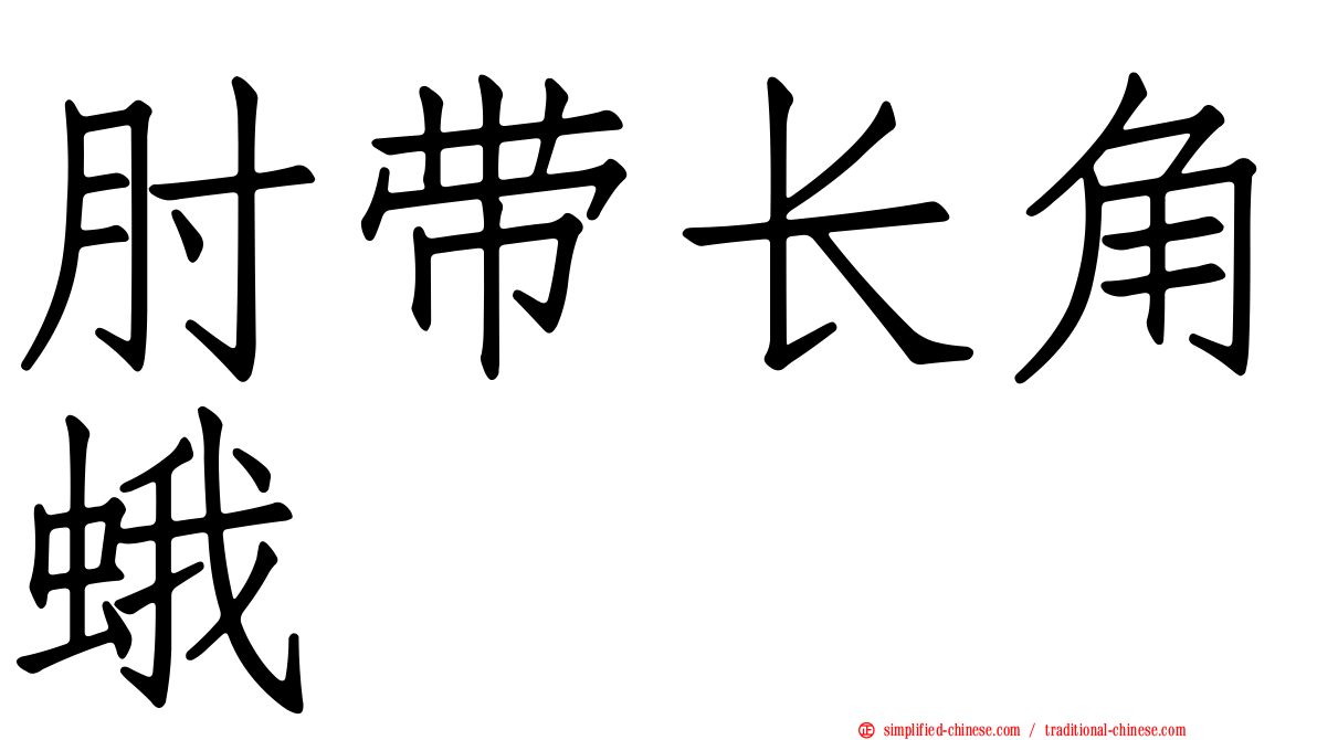 肘带长角蛾