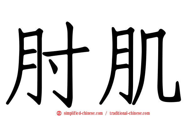 肘肌