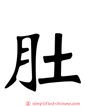 肚