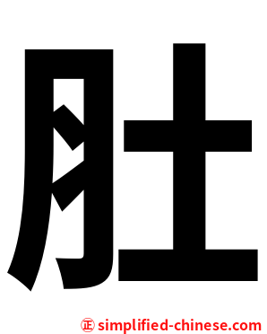 肚