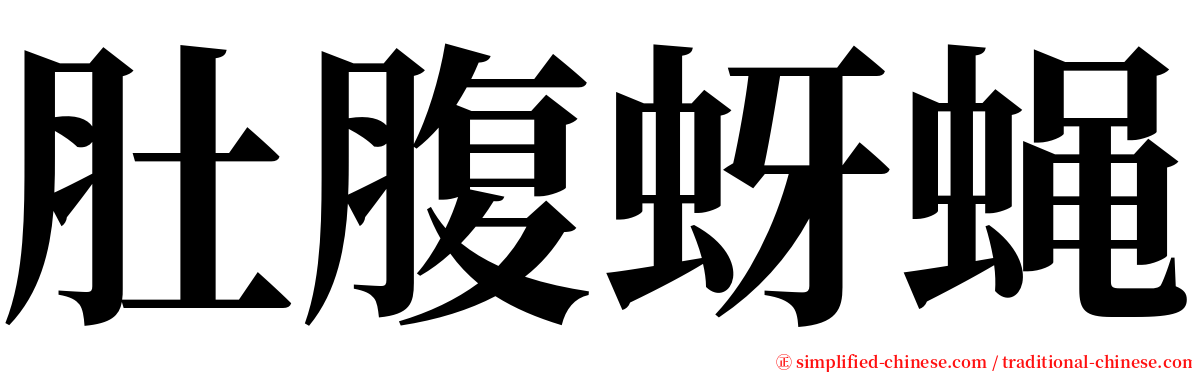 肚腹蚜蝇 serif font