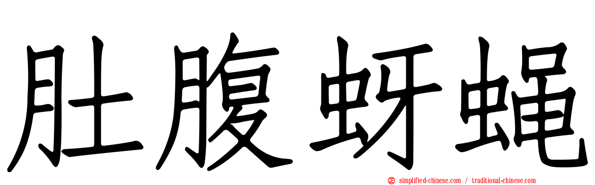 肚腹蚜蝇