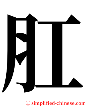 肛 serif font
