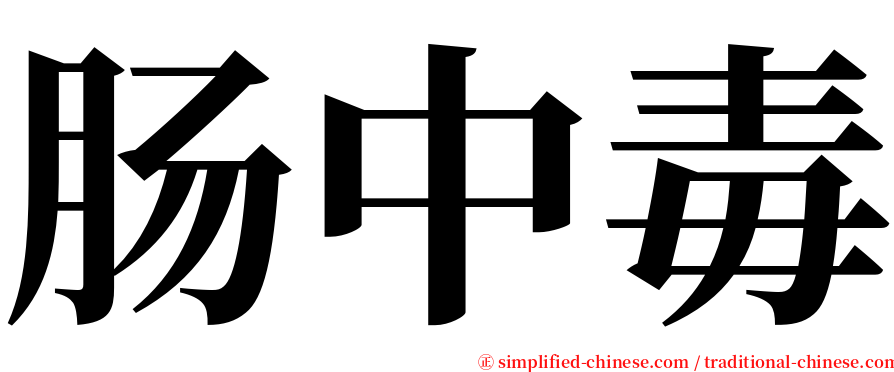 肠中毒 serif font