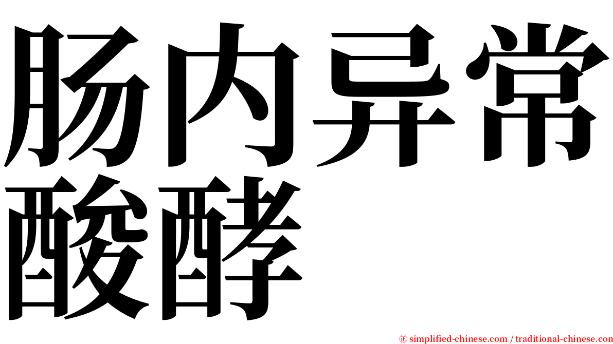 肠内异常酸酵 serif font