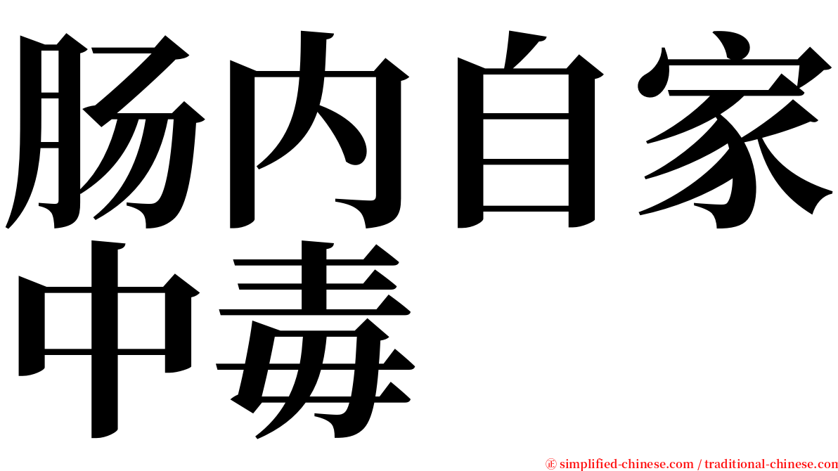 肠内自家中毒 serif font