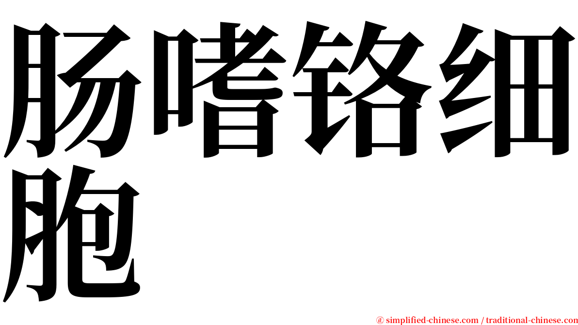 肠嗜铬细胞 serif font