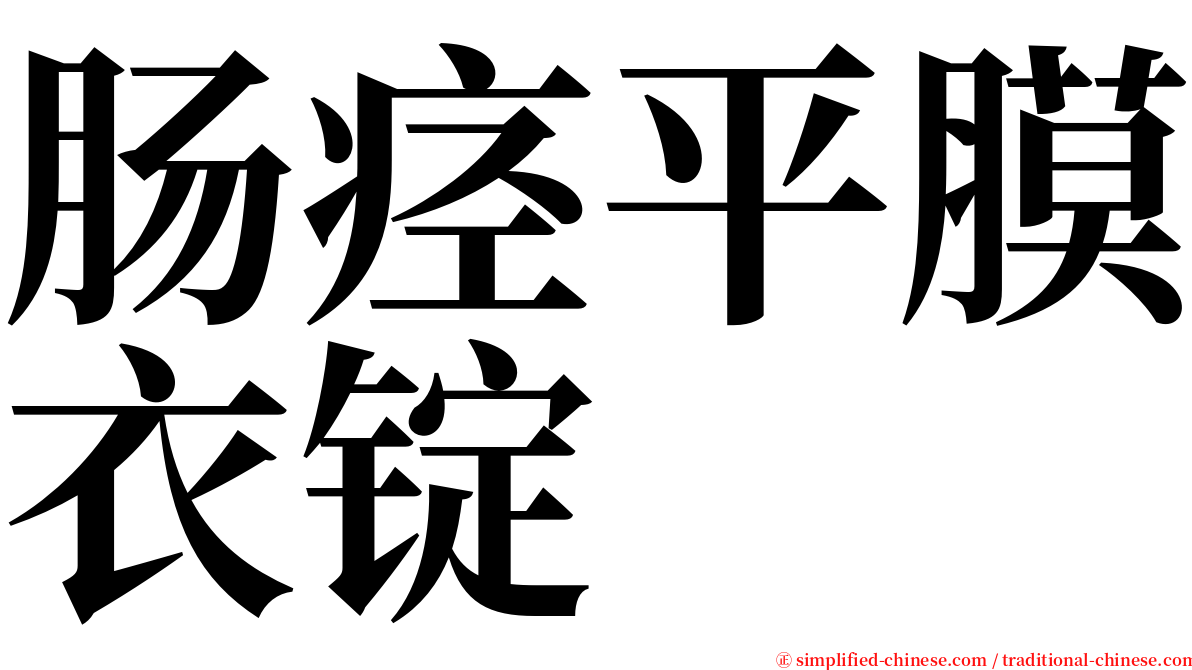 肠痉平膜衣锭 serif font