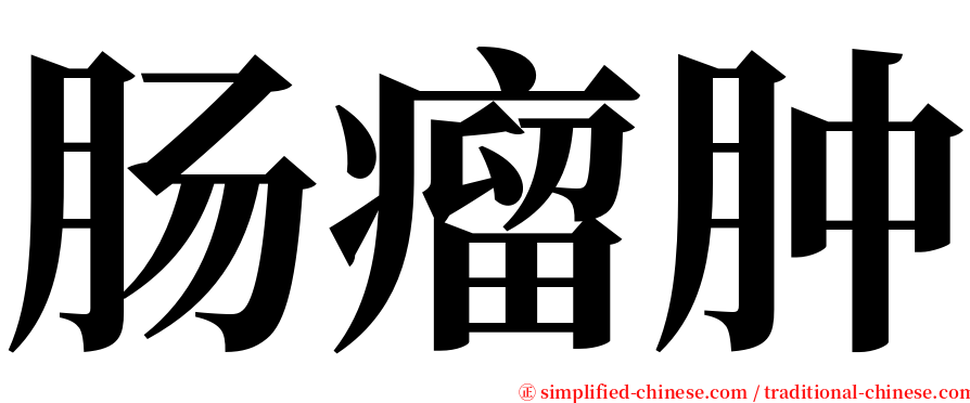 肠瘤肿 serif font