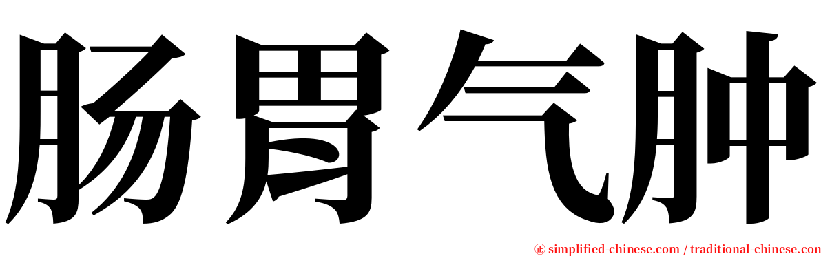 肠胃气肿 serif font