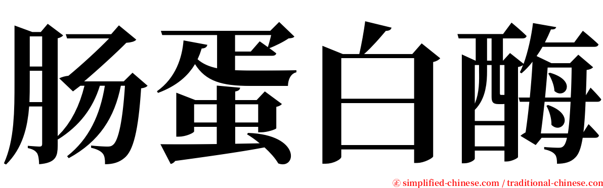 肠蛋白酶 serif font