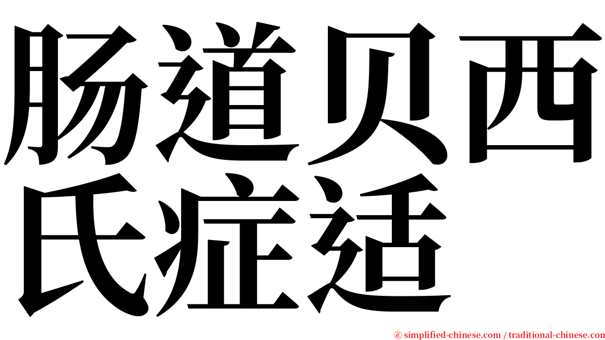 肠道贝西氏症适 serif font