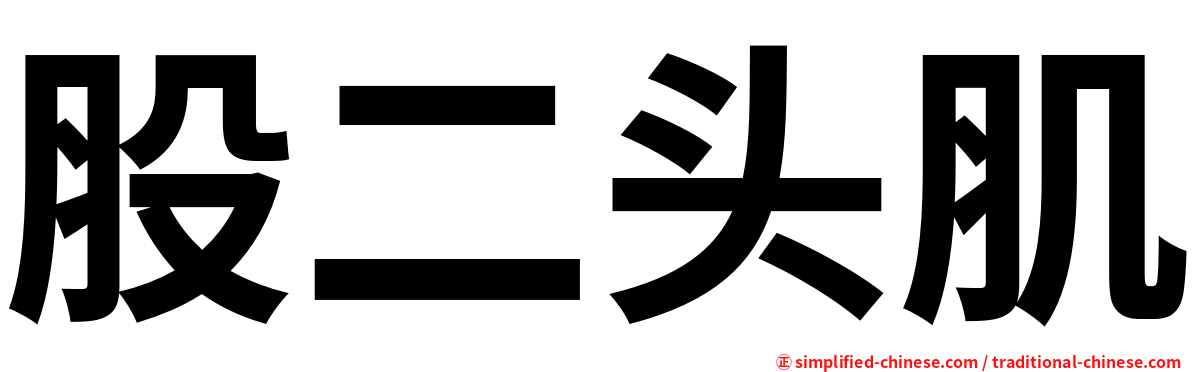 股二头肌