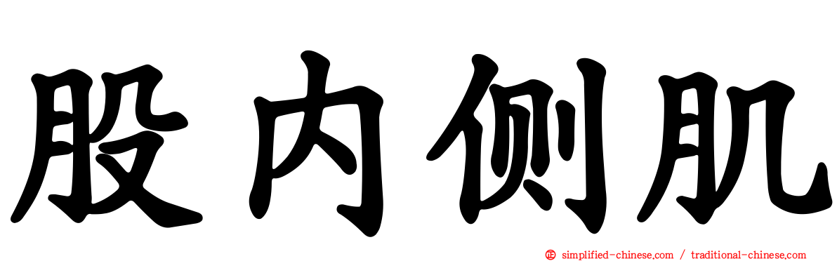 股内侧肌