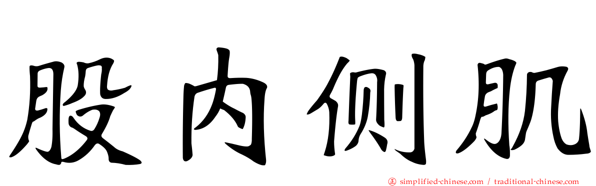 股内侧肌