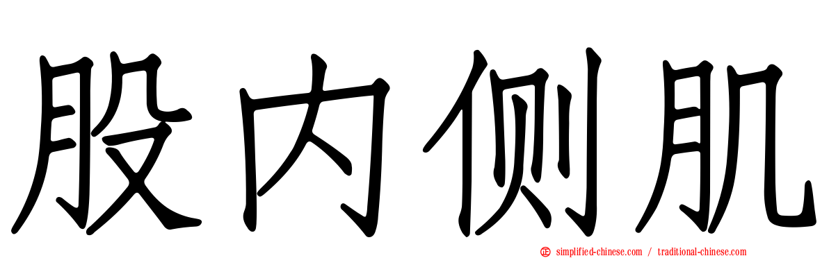 股内侧肌