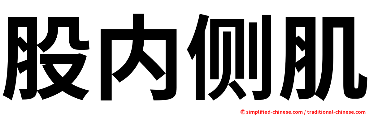 股内侧肌