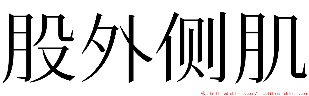 股外侧肌 ming font