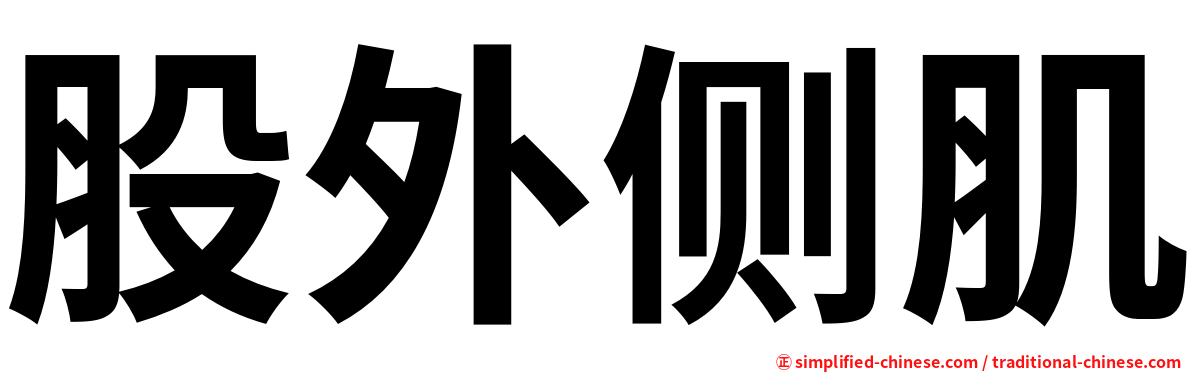 股外侧肌