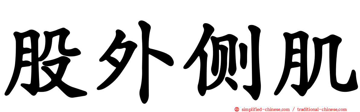 股外侧肌