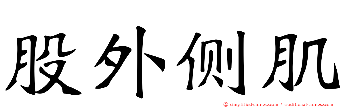 股外侧肌
