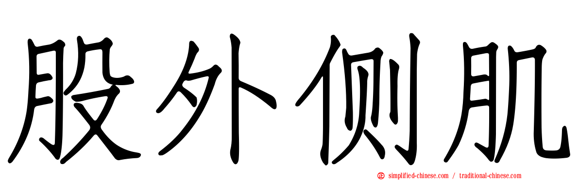 股外侧肌