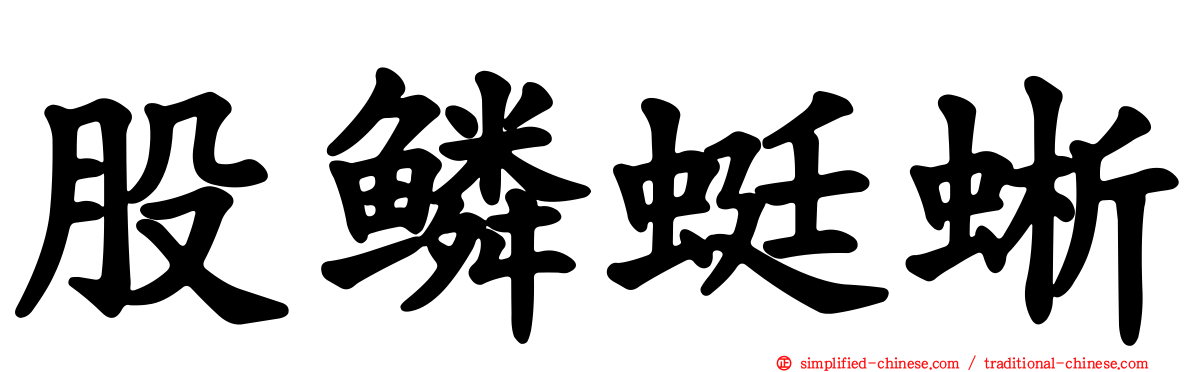 股鳞蜓蜥