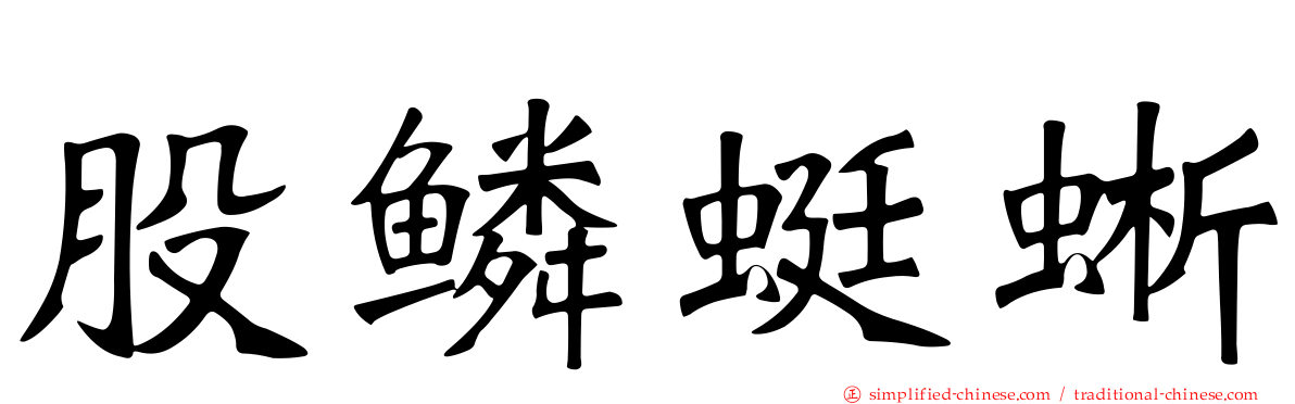 股鳞蜓蜥