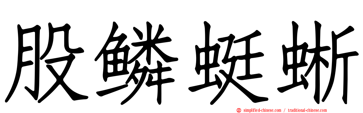 股鳞蜓蜥