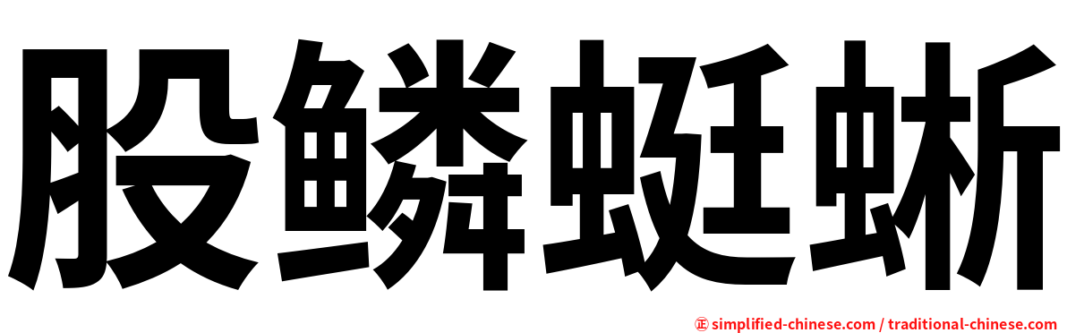 股鳞蜓蜥