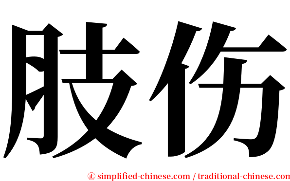 肢伤 serif font