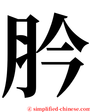 肣 serif font