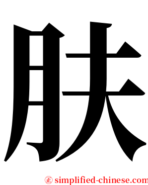 肤 serif font