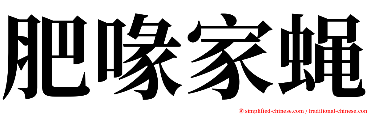 肥喙家蝇 serif font