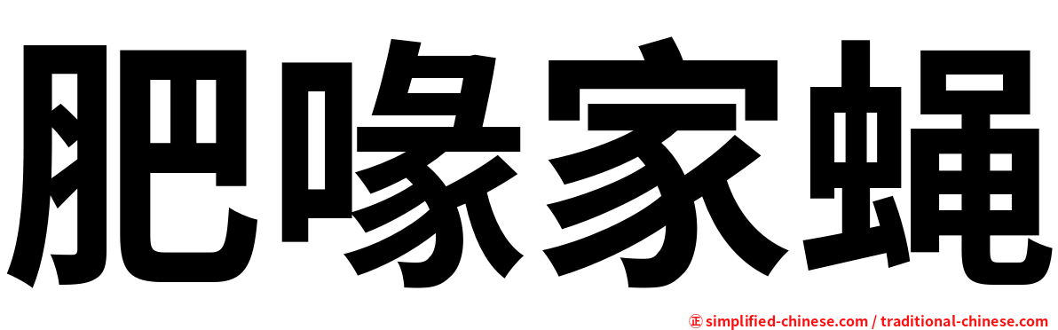 肥喙家蝇