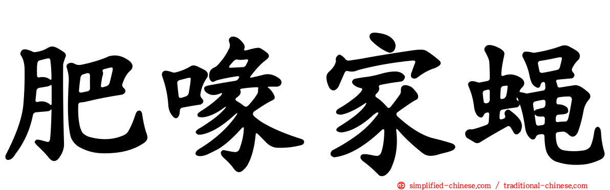 肥喙家蝇