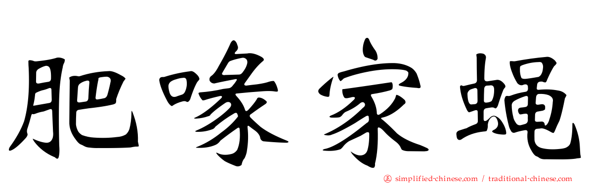 肥喙家蝇