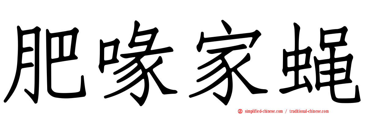肥喙家蝇