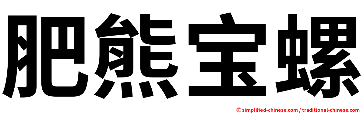 肥熊宝螺