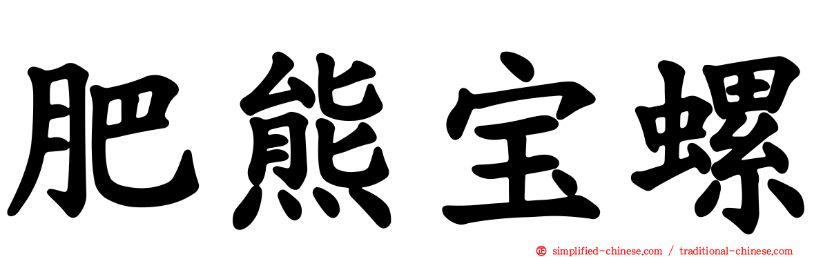 肥熊宝螺