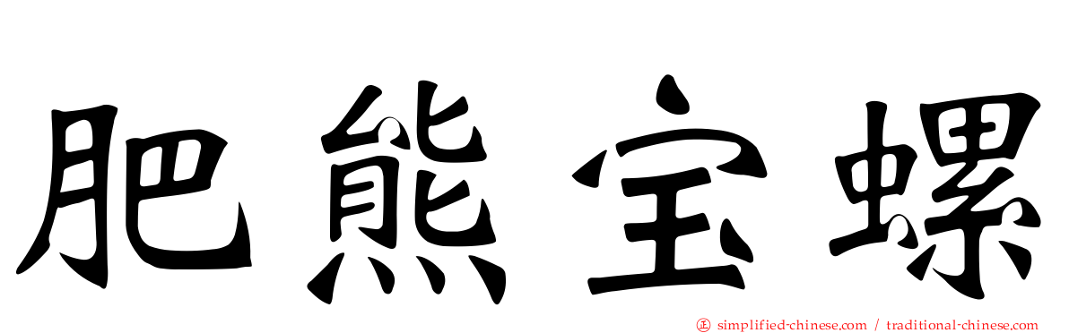 肥熊宝螺